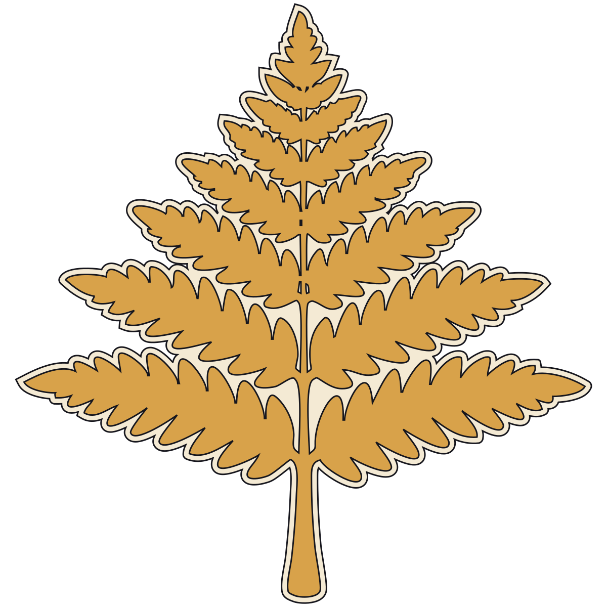 Fern V2 preview