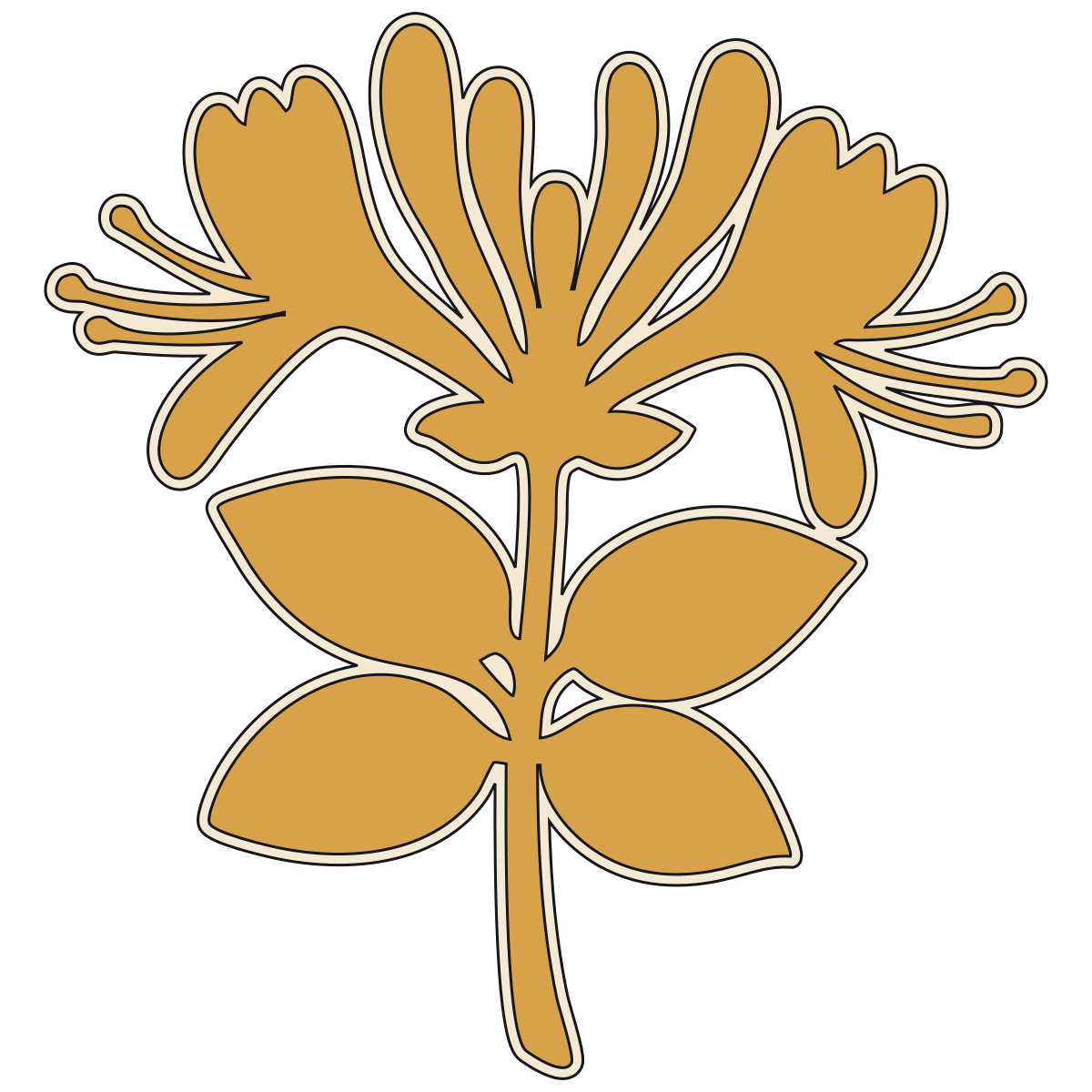 Honeysuckle preview