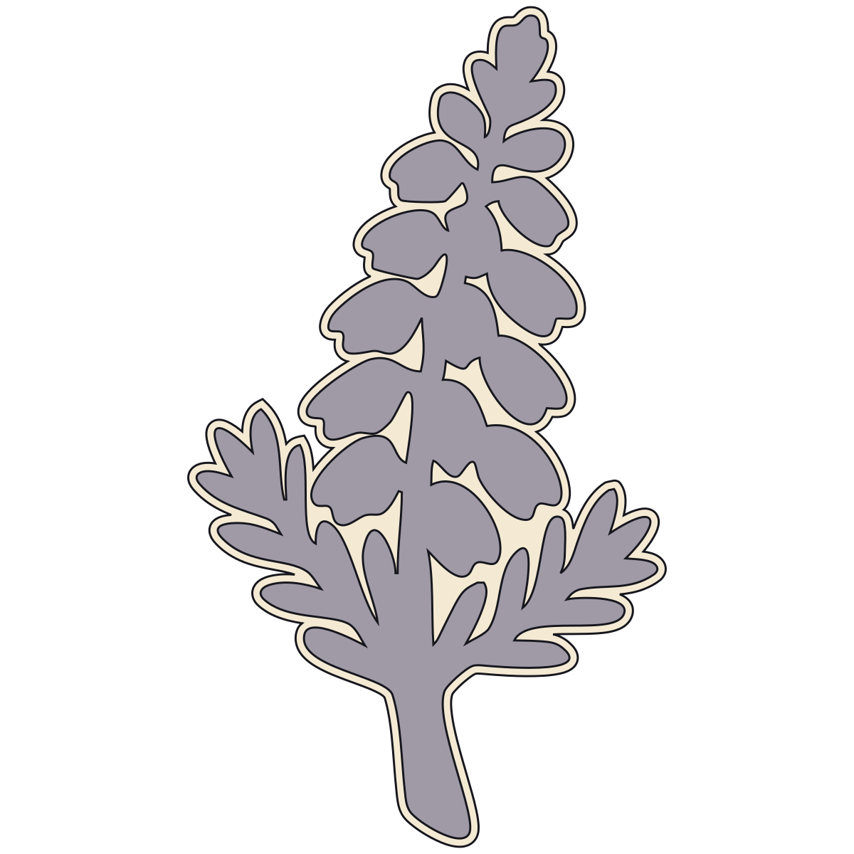 White Heather preview