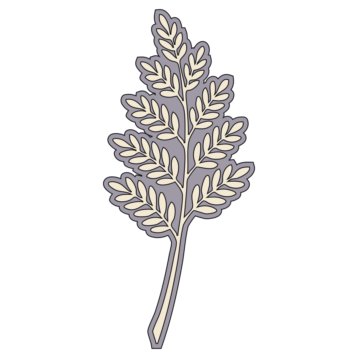 Sprig of Acacia preview